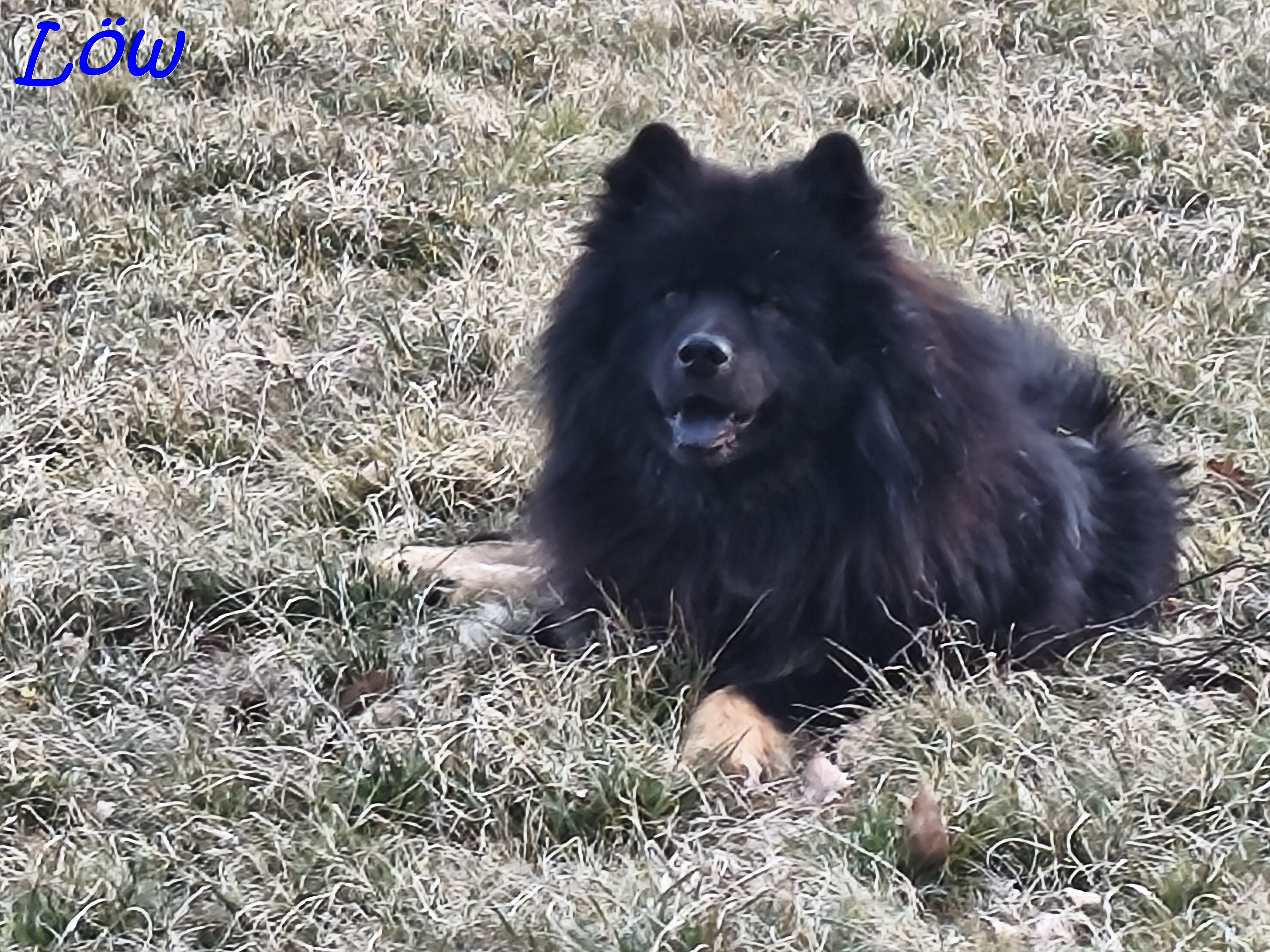 21.3.2025 - Howard ruht in sich